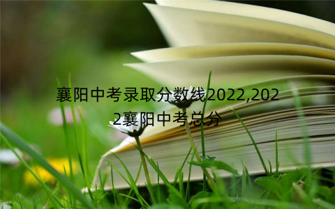襄阳中考录取分数线2022,2022襄阳中考总分